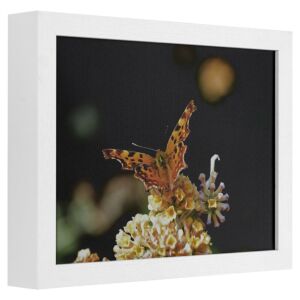 Fotolijst - Wit met zichtbare houtnerf - 7 cm hoog profiel, 50x70cm